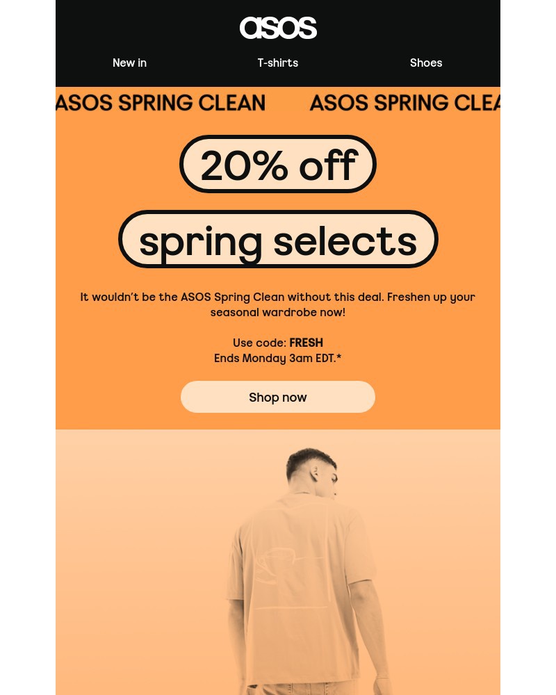 Screenshot of email with subject /media/emails/20-off-spring-selects-1a0d57-cropped-4b504a59.jpg