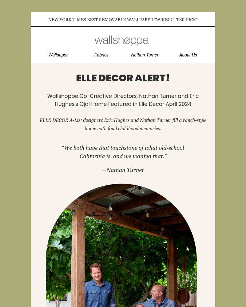 Screenshot of email with subject /media/emails/as-seen-in-elle-decor-0cc0c2-cropped-fe31902f.jpg