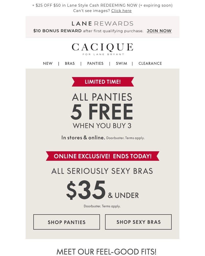 Screenshot of email with subject /media/emails/bogo-50-off-buy-3-get-5-free-panties-0a4cba-cropped-ca4038c1.jpg