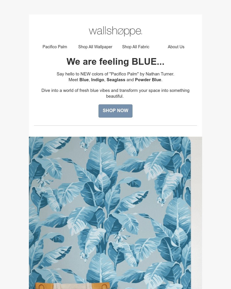 Screenshot of email with subject /media/emails/bold-and-blue-unveiling-our-new-pacifico-palm-colors-628440-cropped-4fd5e47b.jpg