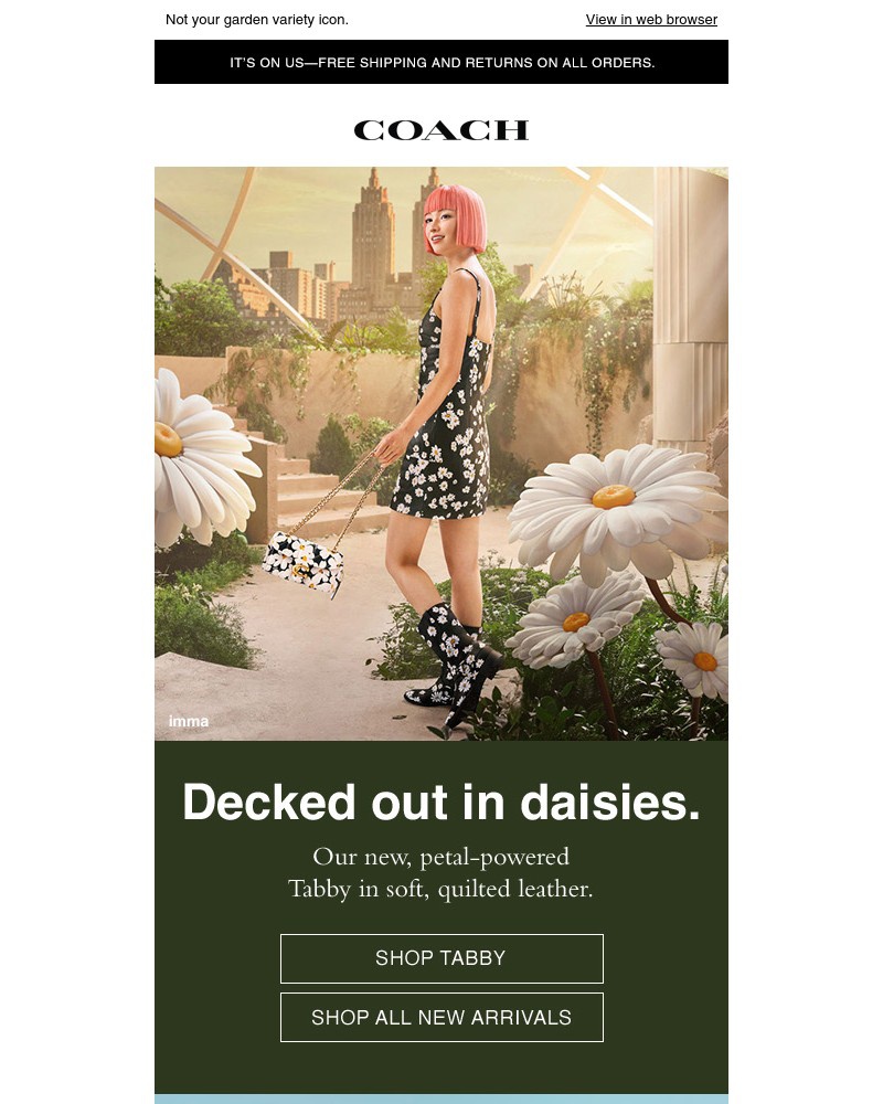 Screenshot of email with subject /media/emails/introducing-a-tabby-decked-out-in-daisies-6846f7-cropped-f5d68d26.jpg