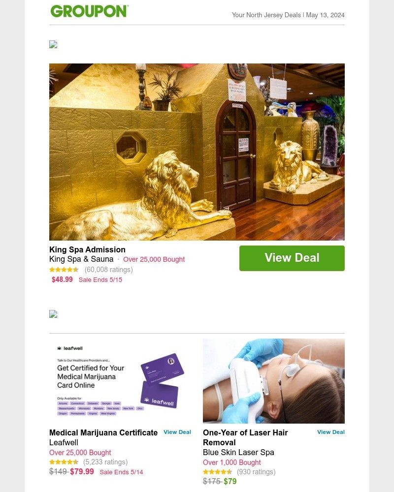 Screenshot of email with subject /media/emails/king-spa-admission-31bfab-cropped-e07ce15c.jpg