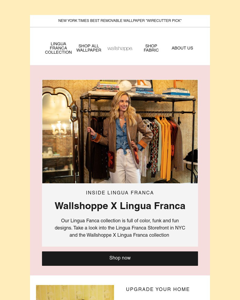 Screenshot of email with subject /media/emails/lingua-franca-x-wallshoppe-0004be-cropped-a62b3fcc.jpg