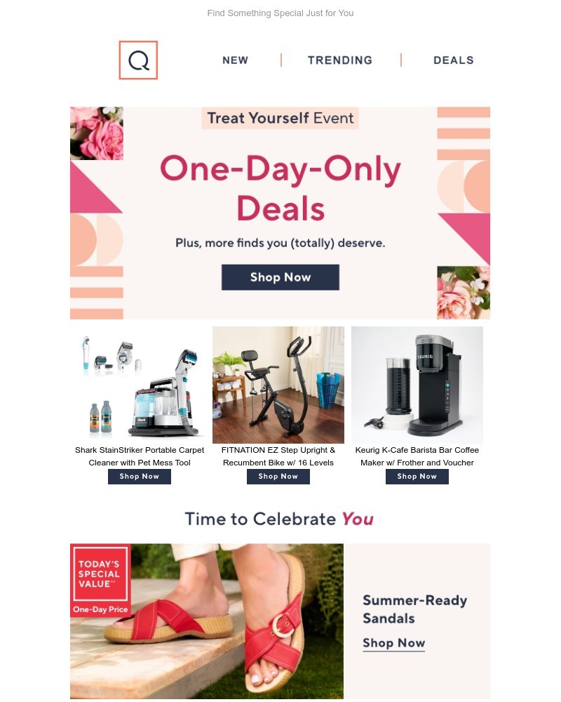 Screenshot of email with subject /media/emails/one-day-only-treat-yourself-event-deals-a1d041-cropped-810d73b9.jpg