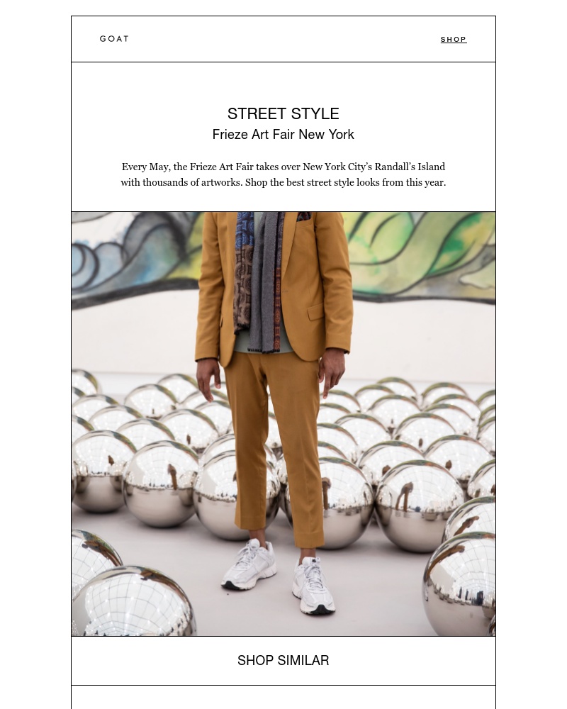 Screenshot of email with subject /media/emails/shop-street-style-from-frieze-new-york-cropped-9a9a1289.jpg
