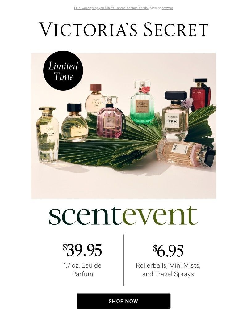 Screenshot of email with subject /media/emails/the-wait-is-over-3995-eau-de-parfum-08110e-cropped-1870b7b0.jpg
