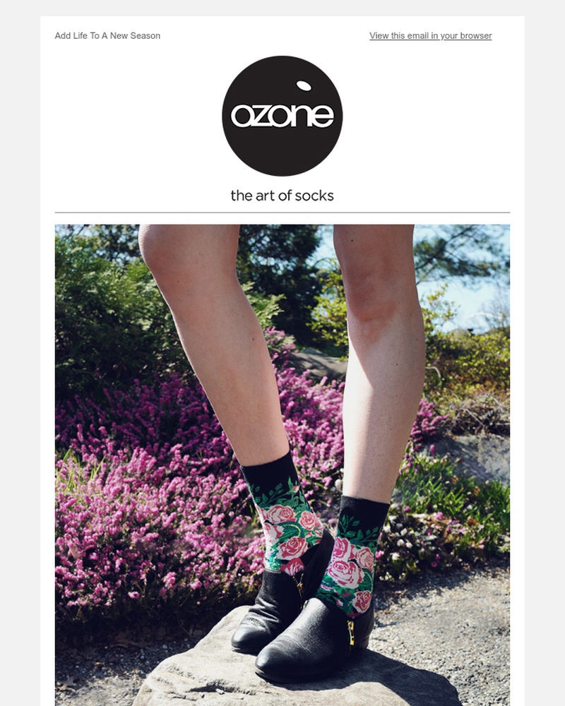 Screenshot of email sent to a Ozone Socks Newsletter subscriber