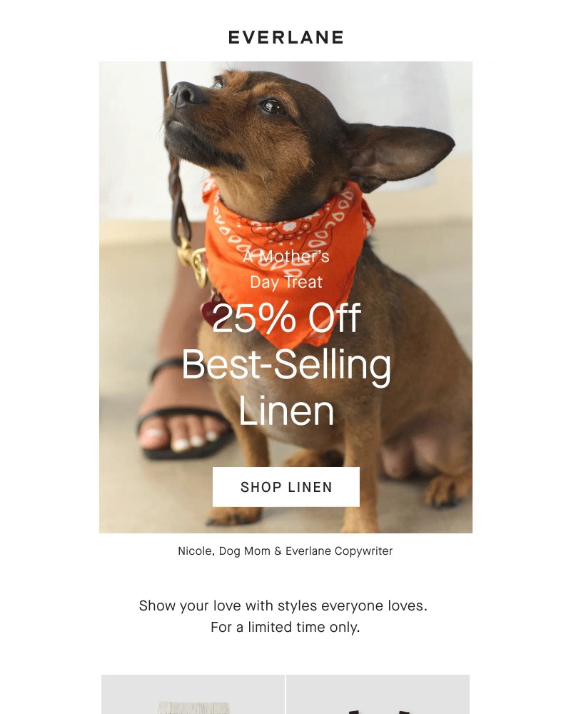 Screenshot of email with subject /media/emails/want-to-see-the-cutest-dog-7aef5c-cropped-1b39785e.jpg