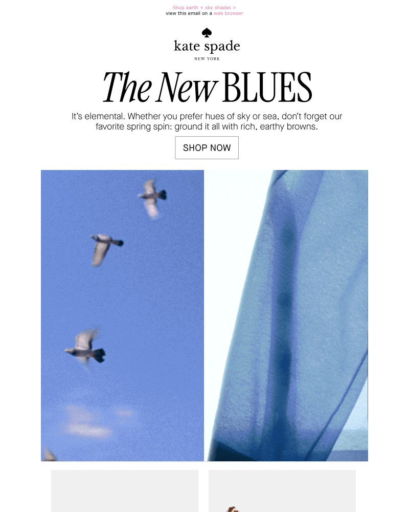 Screenshot of email sent to a Kate Spade Newsletter subscriber