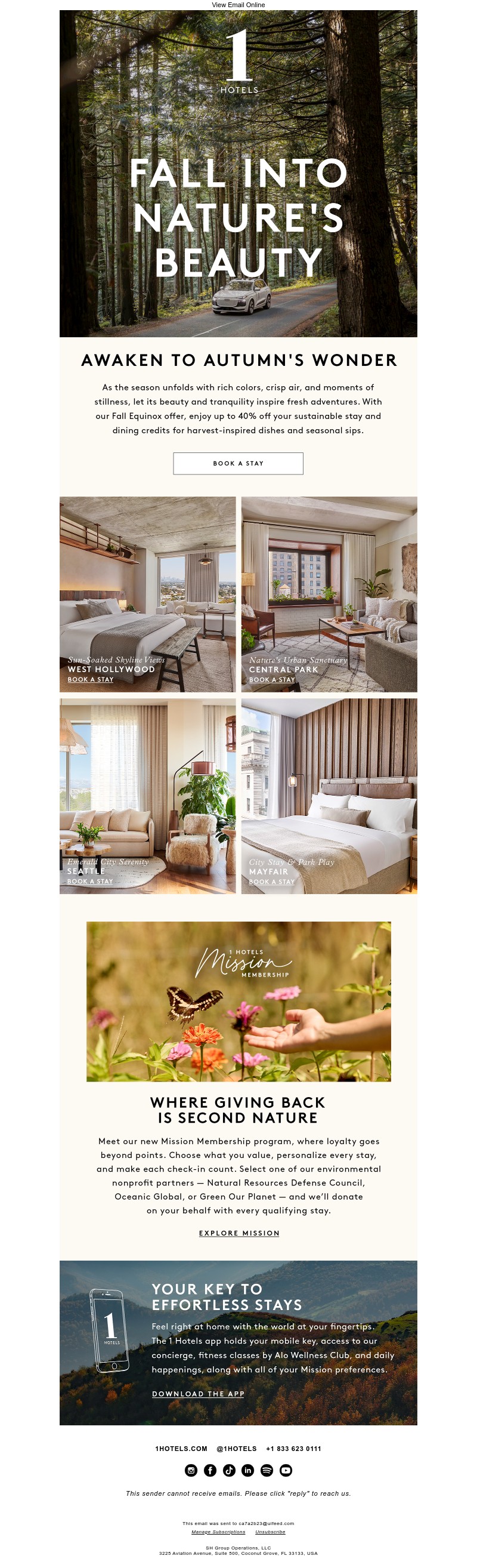 Screenshot of email with subject /media/emails/001d451f-e7e7-46a0-bde2-372010816d3e.jpg