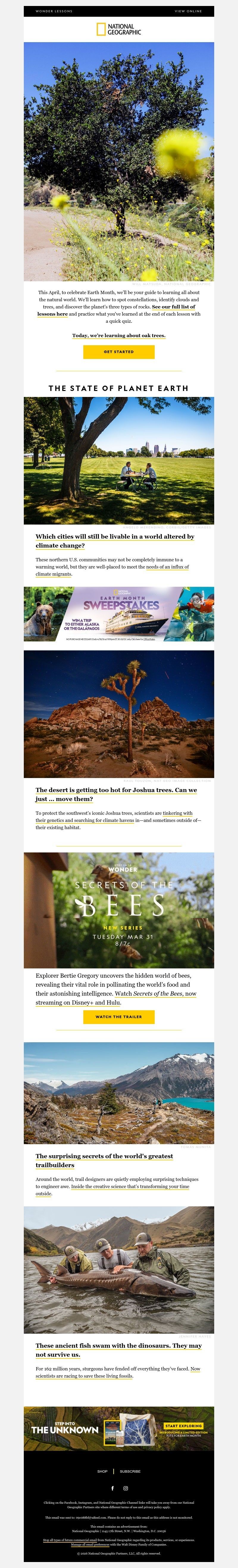Screenshot of email with subject /media/emails/0058372f-bb67-482c-bb77-431a17f83d64.jpg