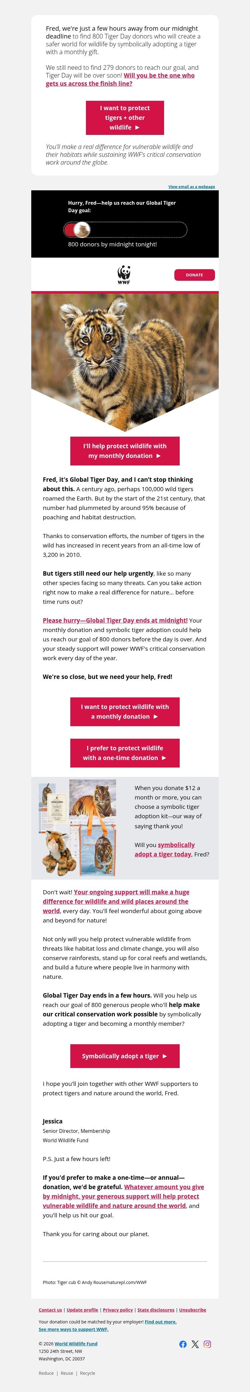 Screenshot of email with subject /media/emails/00963743-06de-4391-bfaa-7c70a3411f6f.jpg