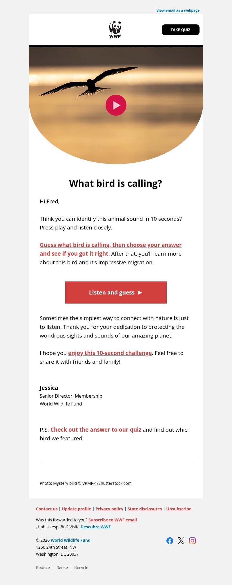 Screenshot of email with subject /media/emails/00f5e2df-490f-4bca-ac73-4bdb56082883.jpg