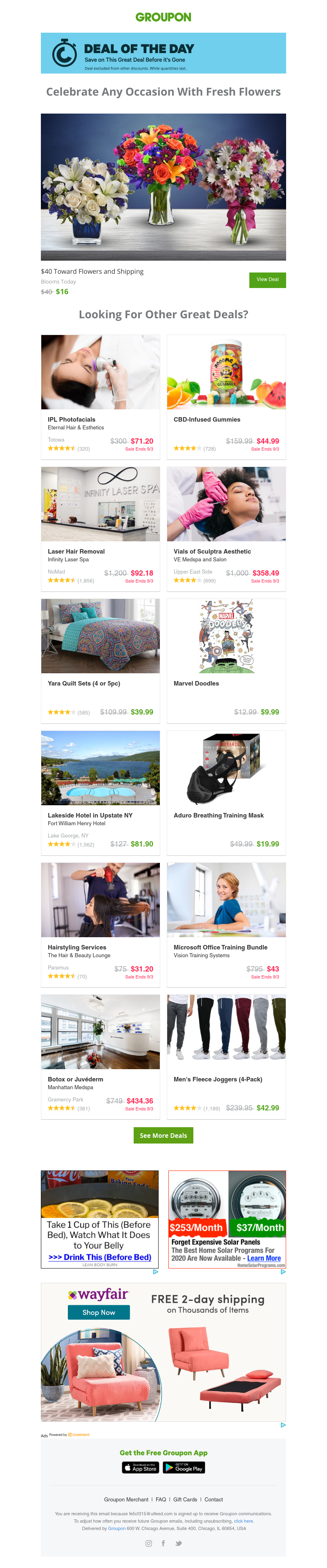 Screenshot of email with subject /media/emails/010642c1-2327-488f-8545-469107678913.png