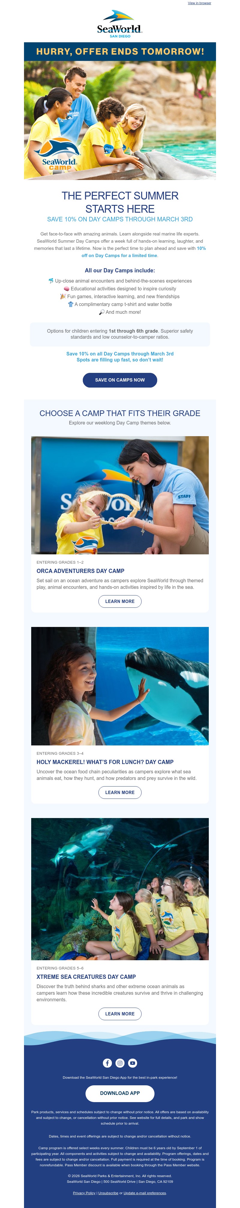 Screenshot of email with subject /media/emails/0135015a-8ff9-4cec-9ce0-8f0c97961629.jpg