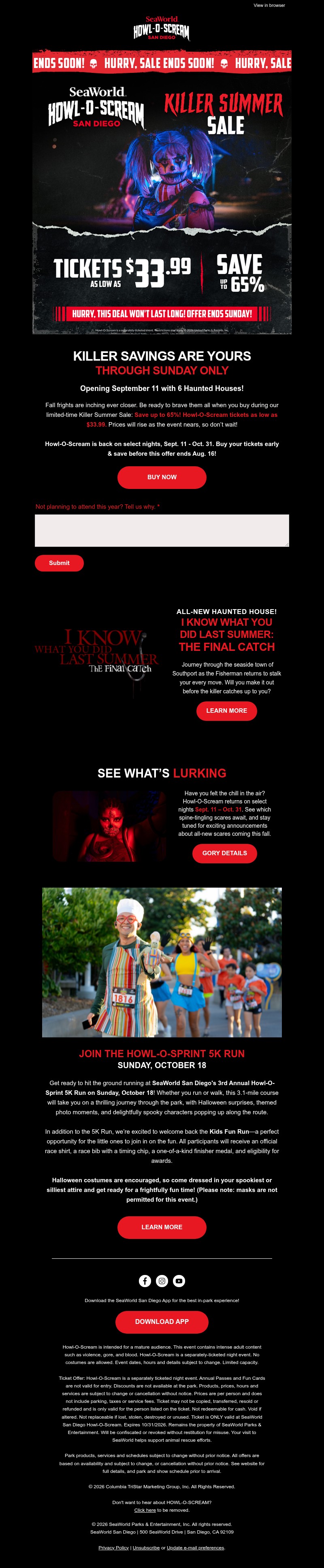 Screenshot of email with subject /media/emails/01b90ad2-03a5-4e84-85f4-6b73e83490da.jpg