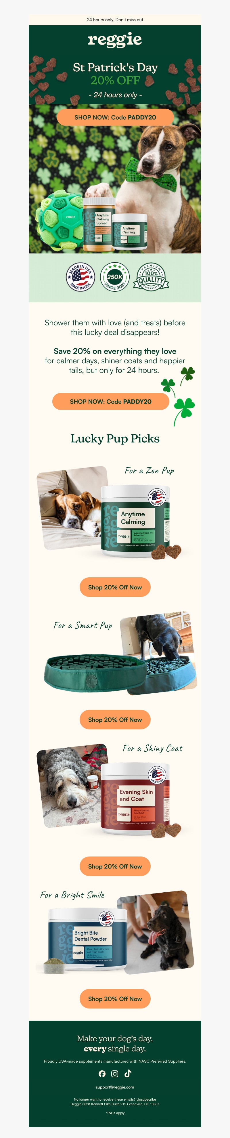 Screenshot of email with subject /media/emails/01c93cae-f990-40a4-8580-a04dc211bb84.jpg