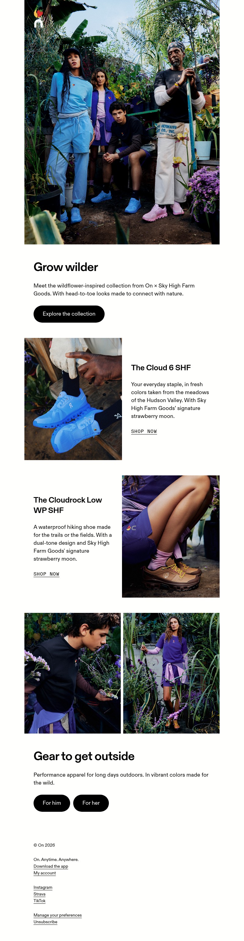 Screenshot of email with subject /media/emails/01d052dd-3b40-4fad-b94d-981db1df9702.jpg