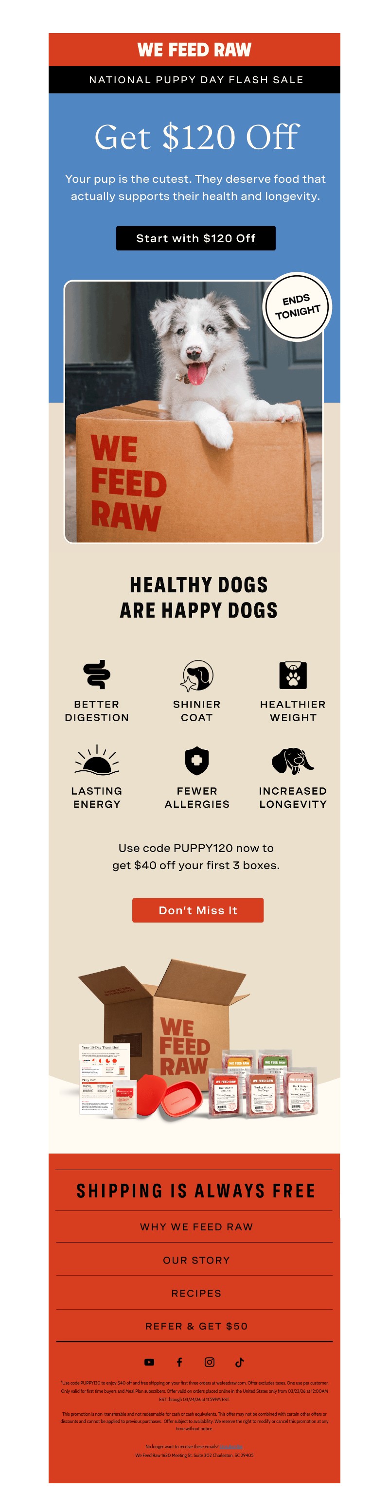 Screenshot of email with subject /media/emails/02226da5-a965-4134-b75e-91dfb4deefa7.jpg