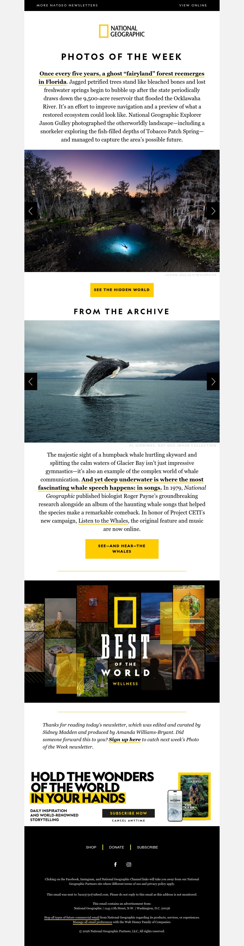 Screenshot of email with subject /media/emails/0231bf1c-8b39-40cb-bc5d-3cb3e1ef99fe.jpg