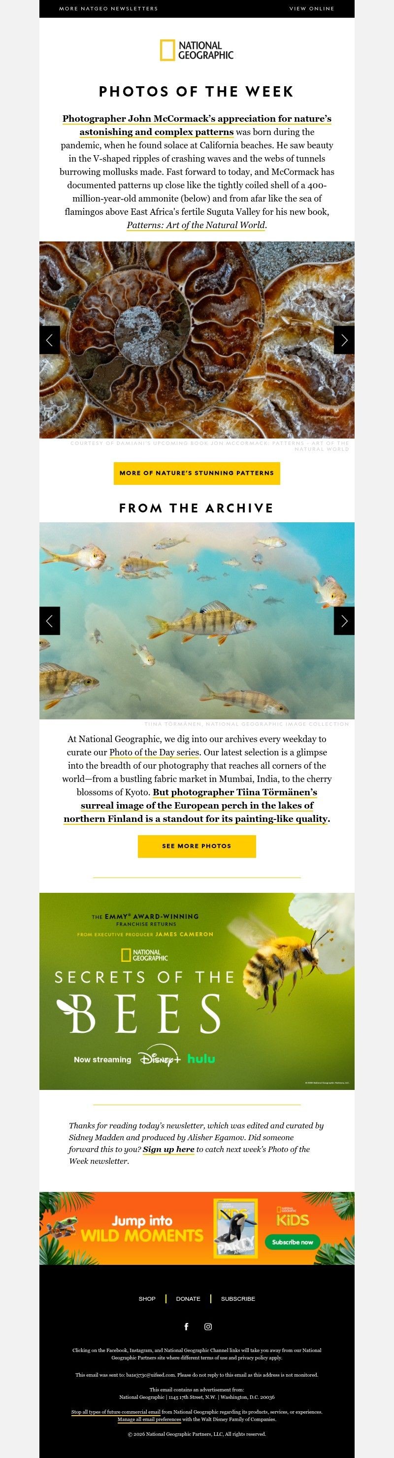 Screenshot of email with subject /media/emails/02a543ea-3b07-4554-90d5-2250a7df10d1.jpg