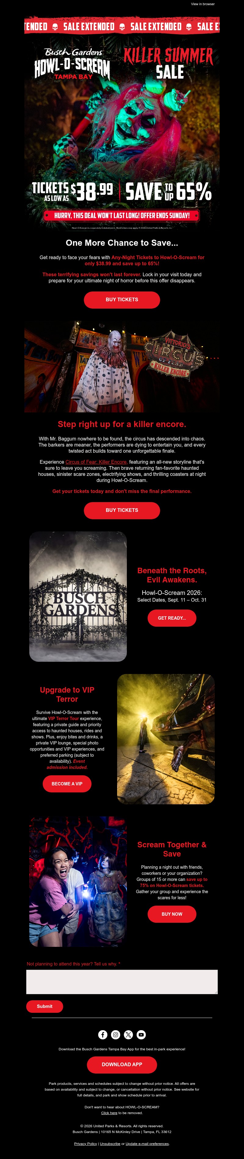 Screenshot of email with subject /media/emails/033ac28c-7cbb-4196-9be6-9f6959243beb.jpg