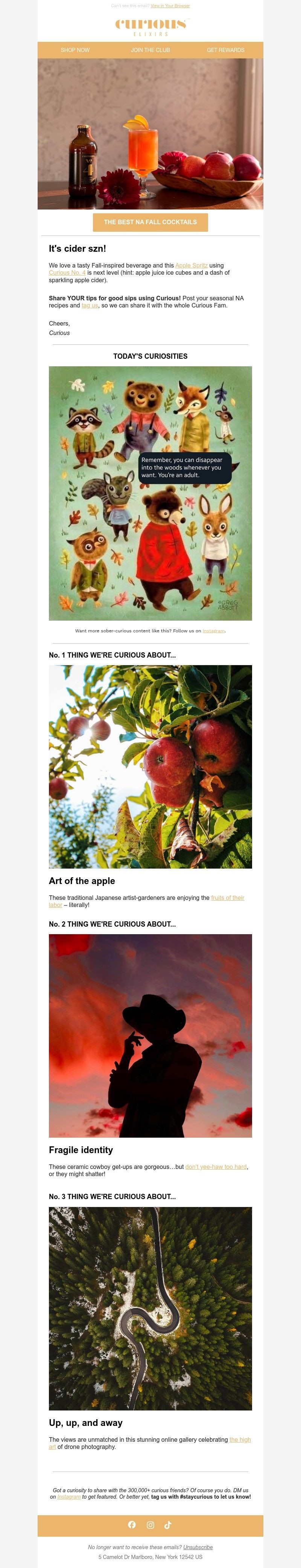 Screenshot of email with subject /media/emails/0347426a-c333-4127-a55f-97e513976469.jpg