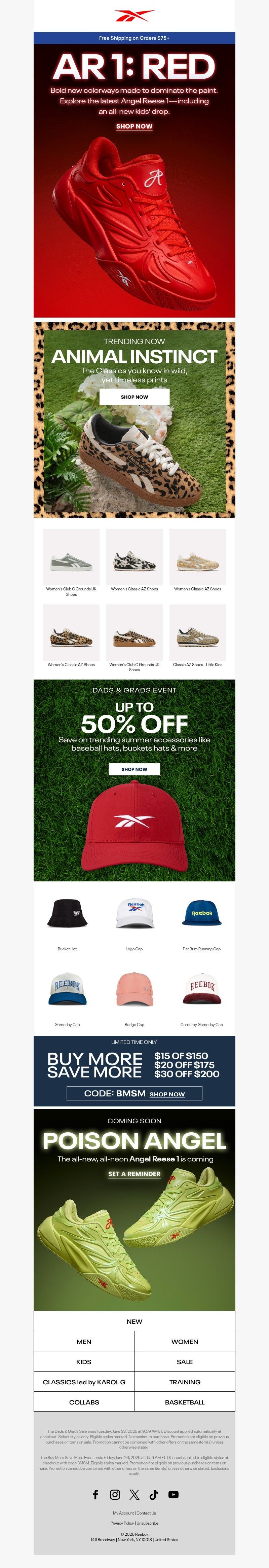 Screenshot of email with subject /media/emails/038e05c5-ee20-40b5-8414-c8851554cf4e.jpg