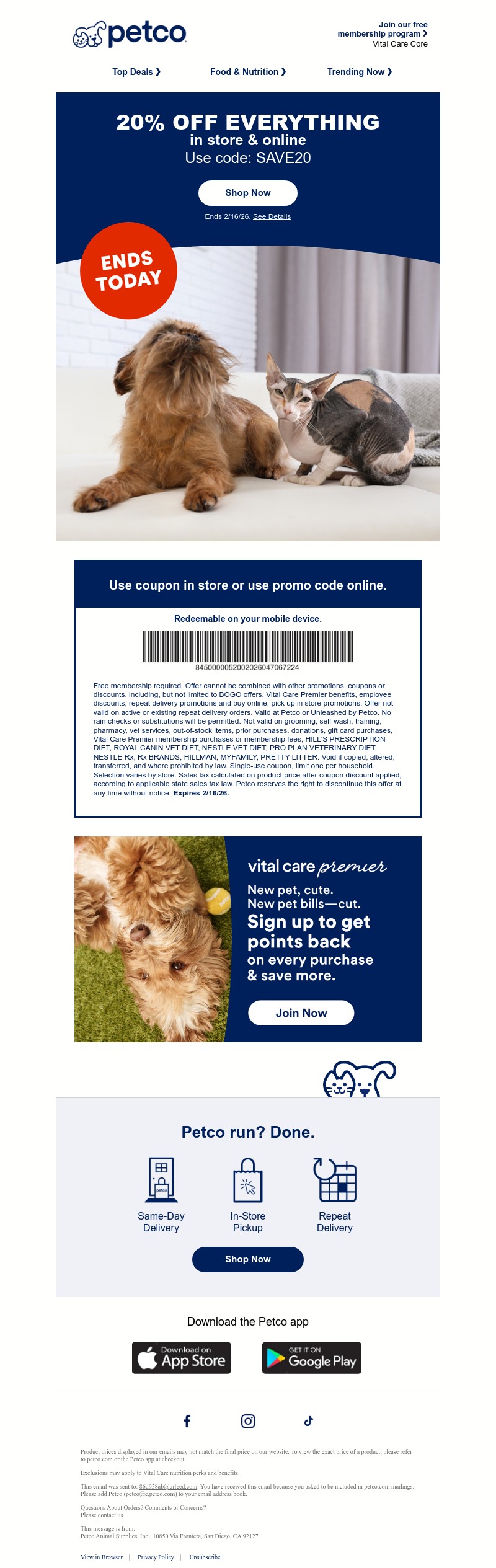 Screenshot of email with subject /media/emails/03992347-3070-4f8e-8a11-be84a28632d9.jpg