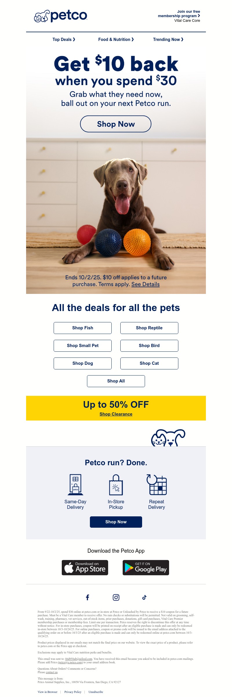 Screenshot of email with subject /media/emails/03eeb89d-f8f0-4974-bb27-f3ade2641a12.jpg