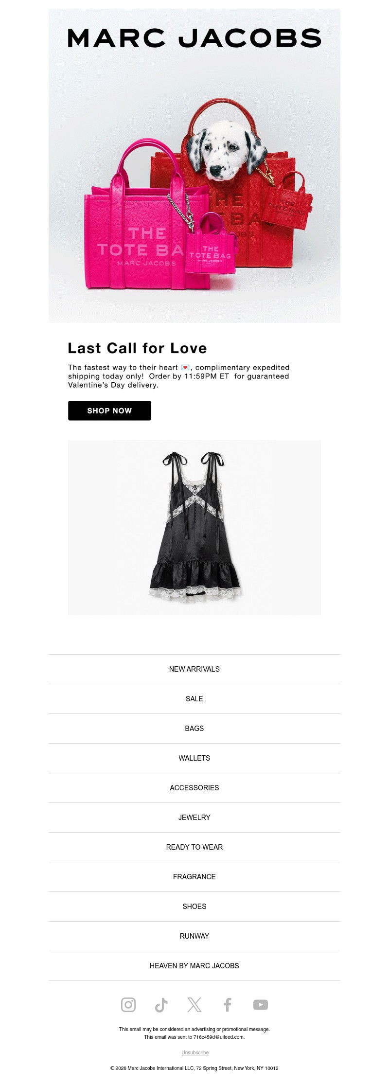 Screenshot of email with subject /media/emails/04825170-7b03-4c0a-b580-18ca5921a675.jpg