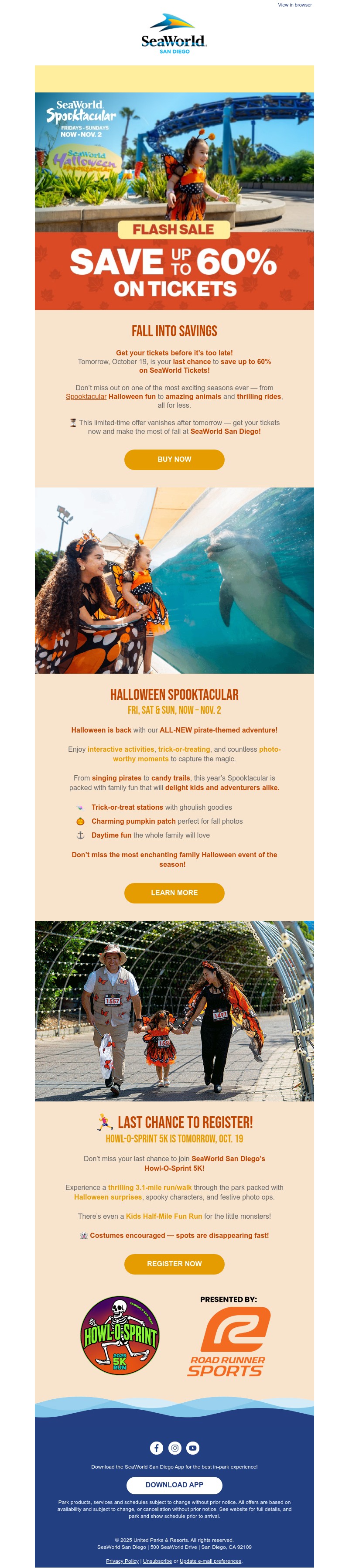 Screenshot of email with subject /media/emails/0511b895-de8b-4c01-bc87-bea8d719678f.jpg