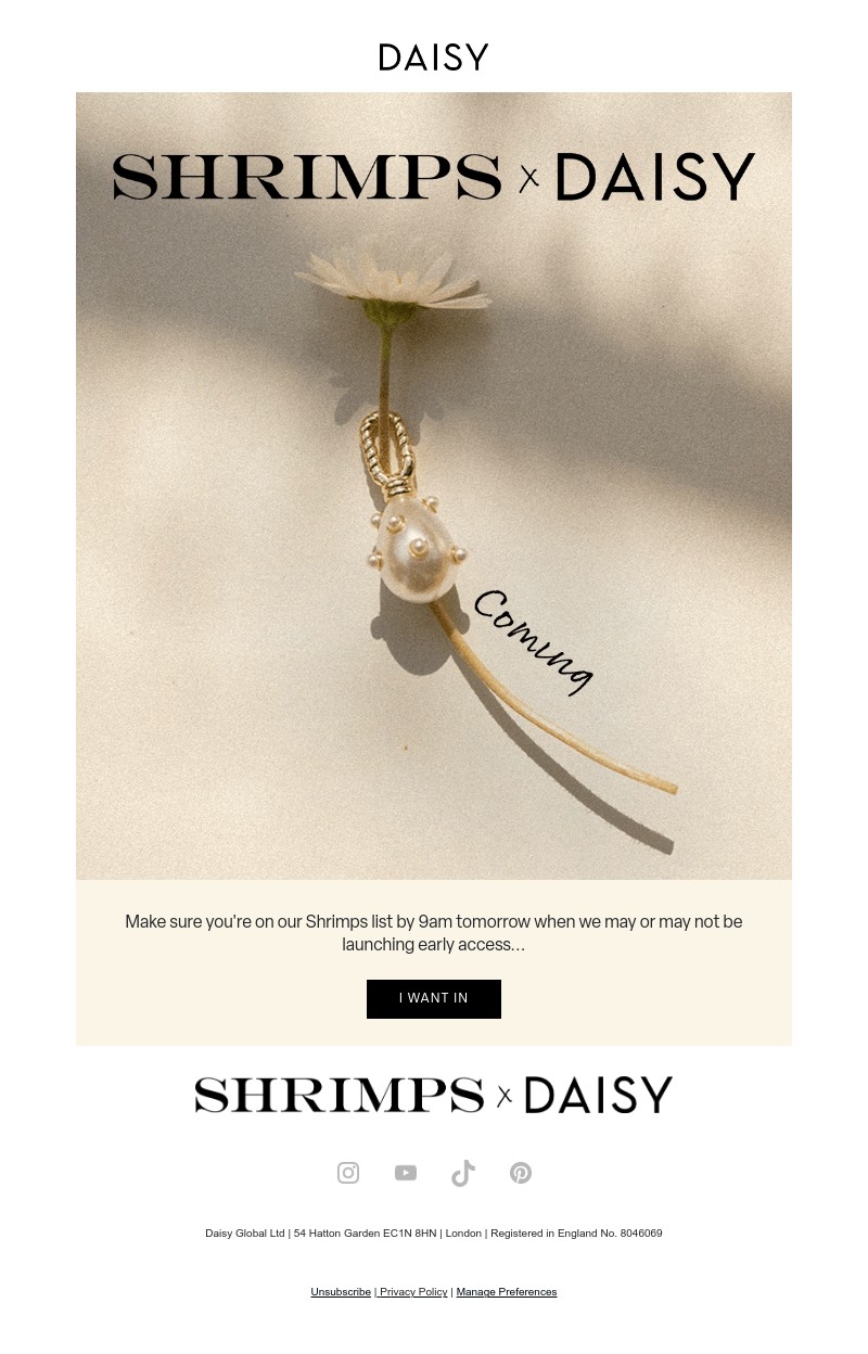 Screenshot of email with subject /media/emails/0517d535-4261-4202-9e9b-fcf042955144.jpg