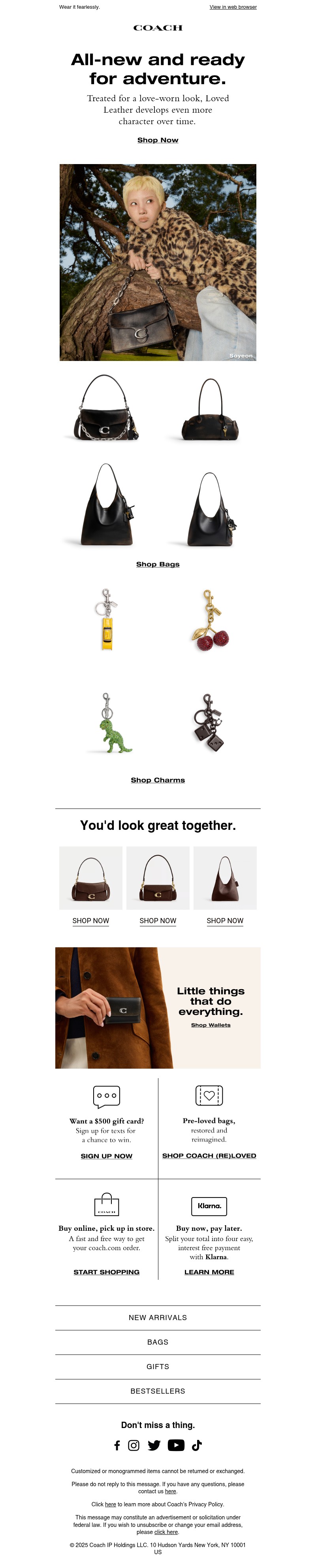 Screenshot of email with subject /media/emails/0561bbeb-212b-47cb-94b2-67570be75fa7.jpg