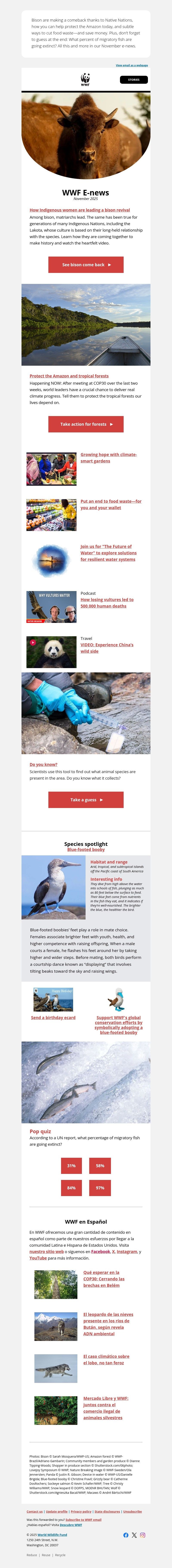 Screenshot of email with subject /media/emails/05c6e9e3-4e67-4140-bb29-2f6fd90d319c.jpg