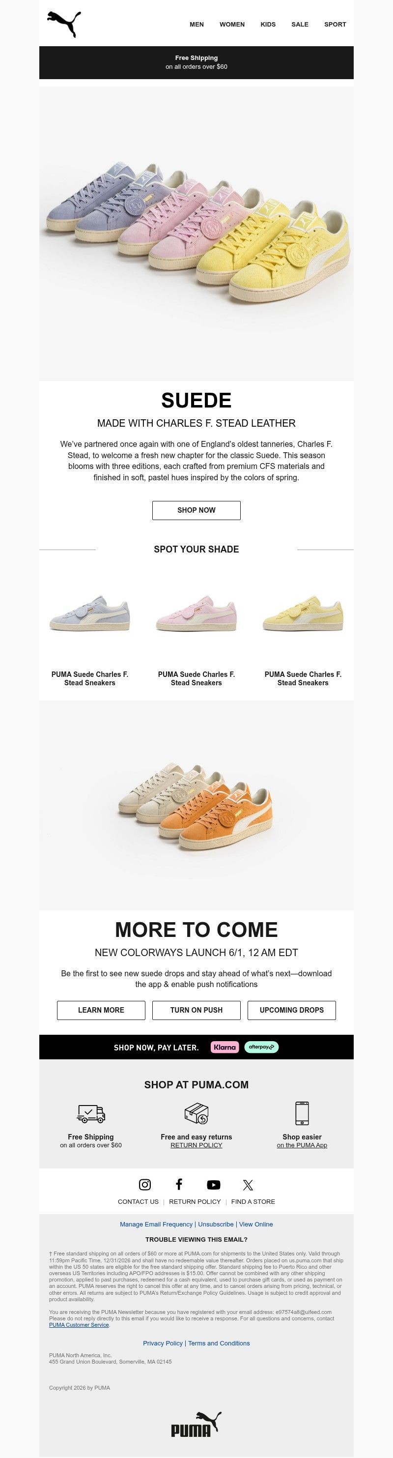 Screenshot of email with subject /media/emails/06a29e57-d18b-4c4a-9de0-57937d1f5f62.jpg