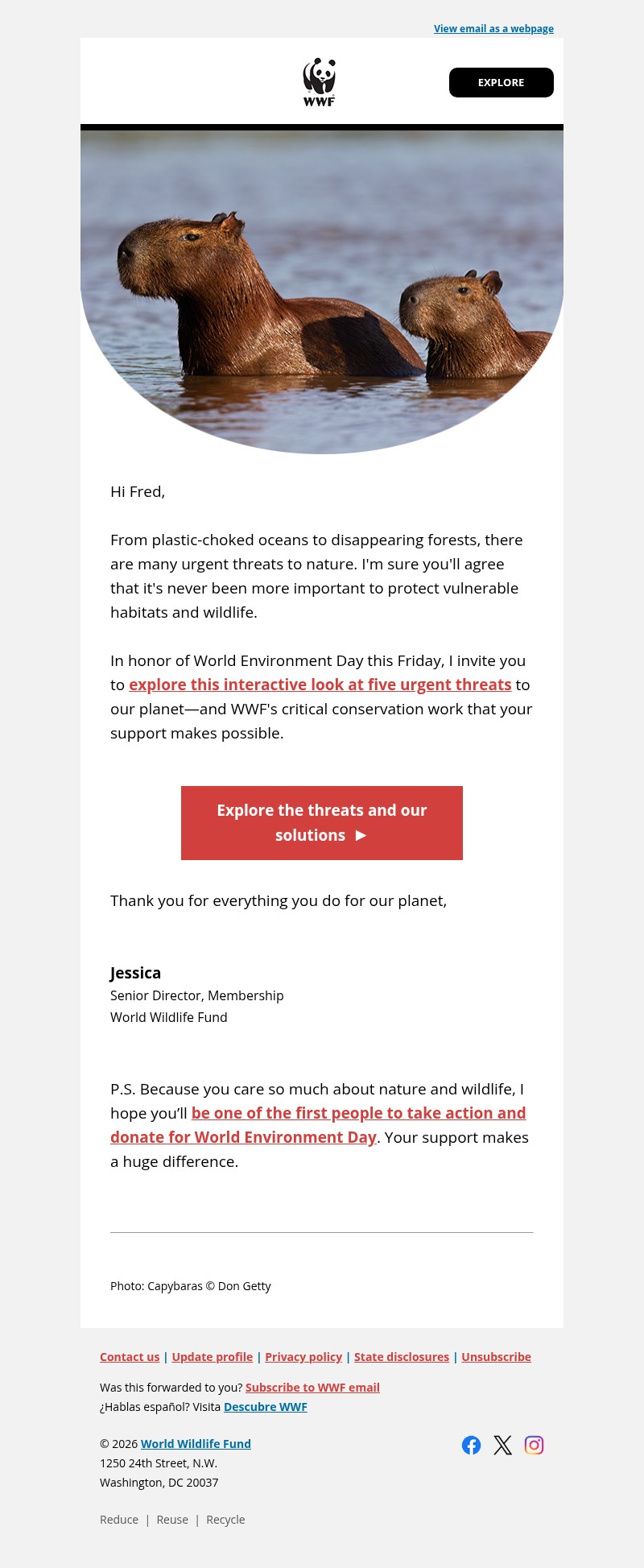 Screenshot of email with subject /media/emails/06dcdd84-908e-4518-b151-4d6229b48cc9.jpg