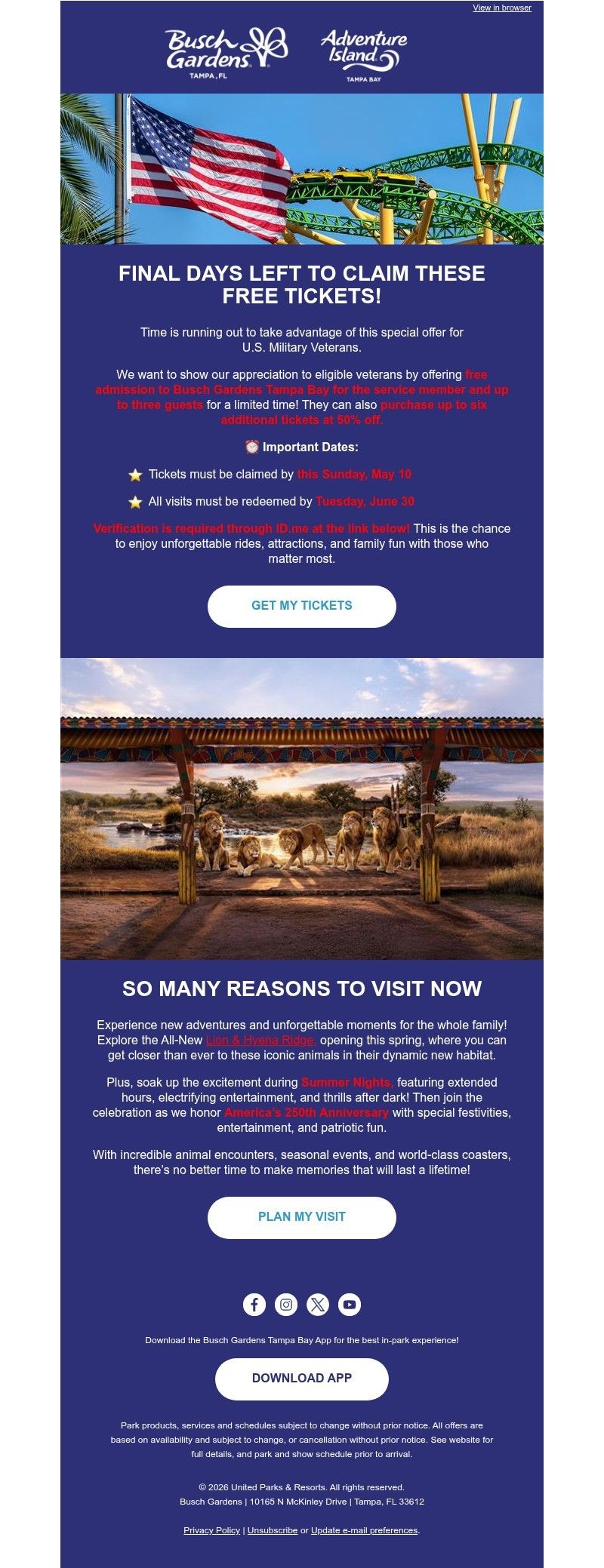 Screenshot of email with subject /media/emails/0737a8ff-c52f-4828-848a-db0dd8f5dcc4.jpg