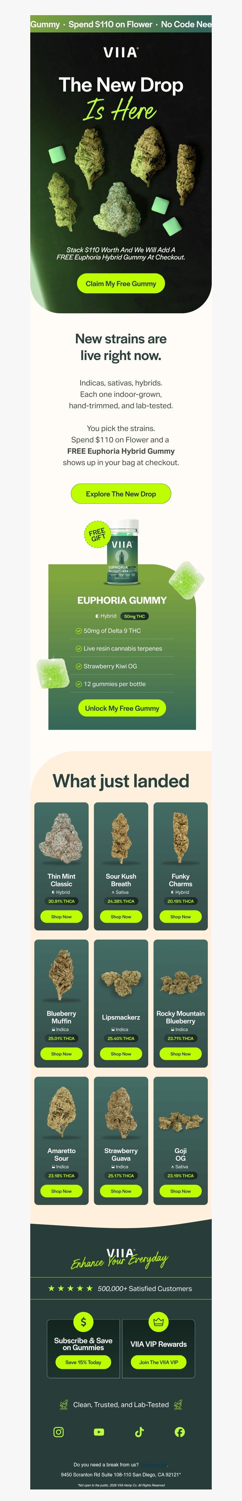 Screenshot of email with subject /media/emails/083337fc-e599-4229-942a-ae7a84e987bf.jpg