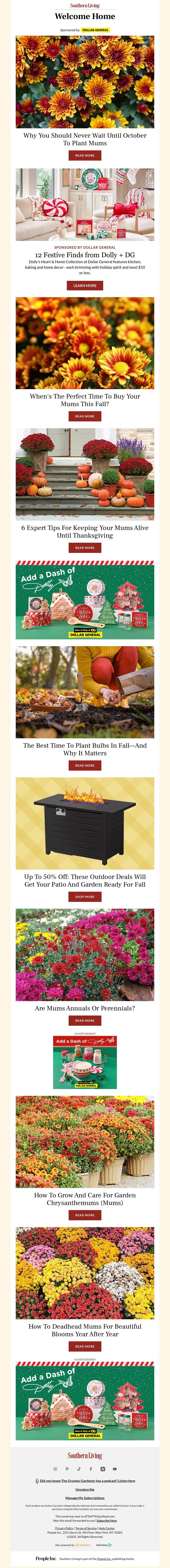 Screenshot of email with subject /media/emails/08550778-3877-4fed-afb5-9b757d6a6502.jpg