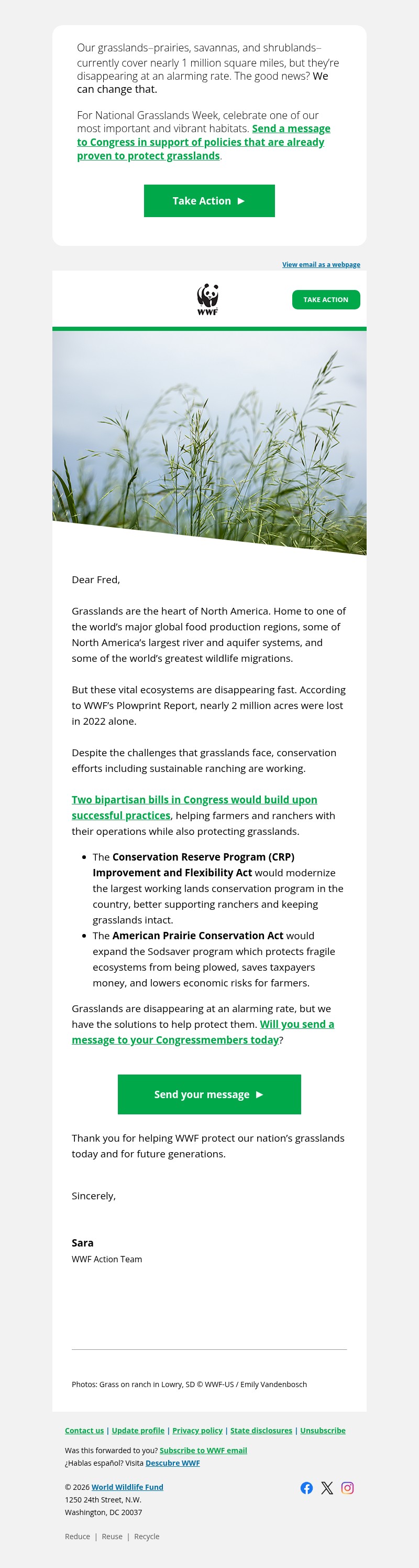 Screenshot of email with subject /media/emails/086e28ef-820e-449a-8ab4-38546fcd0b42.jpg