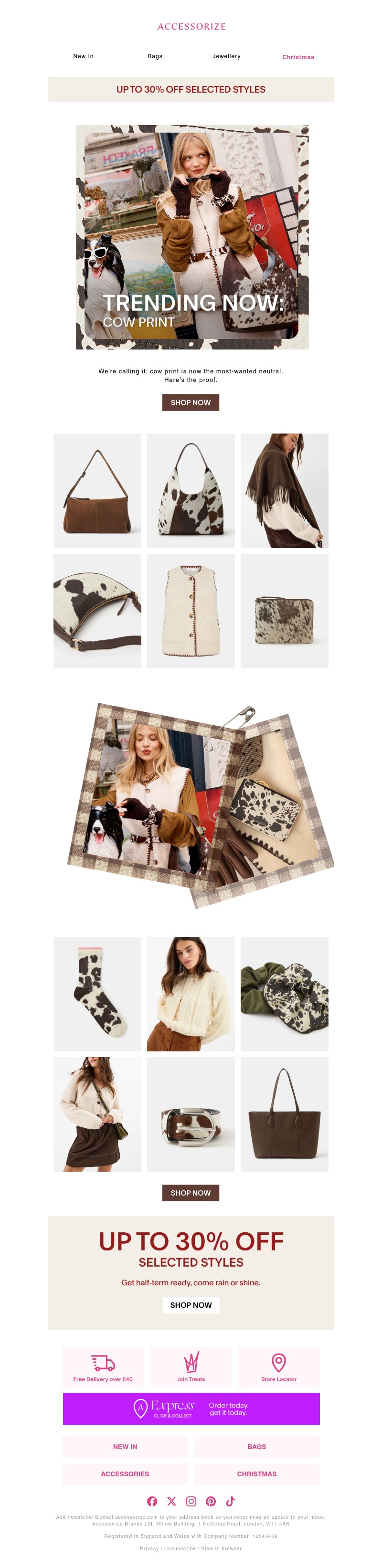 Screenshot of email with subject /media/emails/08a6d6b0-866d-44dd-99c8-3afb43d19c5f.jpg