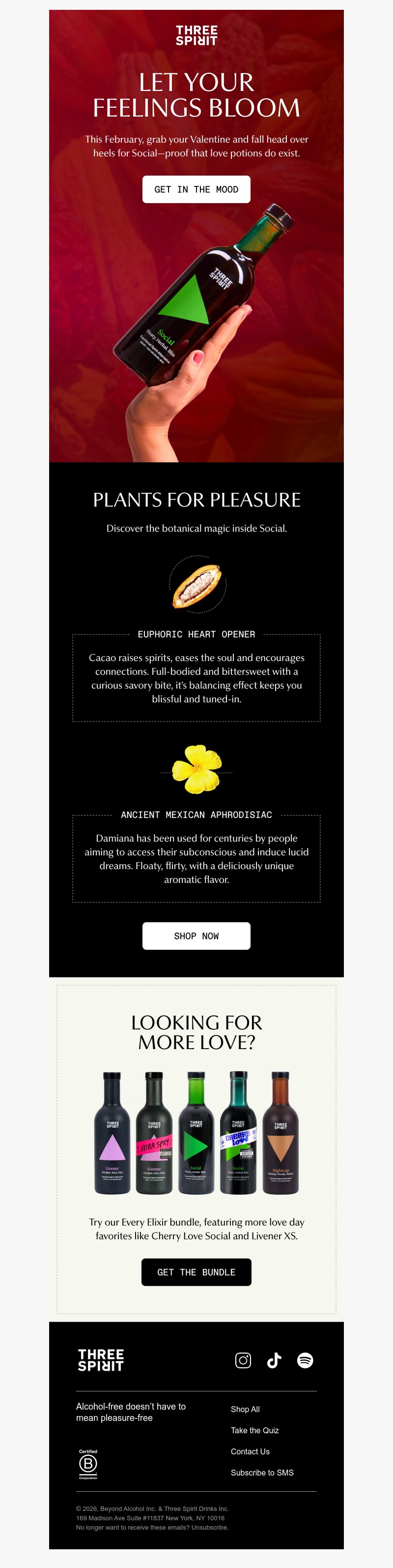 Screenshot of email with subject /media/emails/08d93c72-316a-47ae-8f67-ef7d2bece2b0.jpg