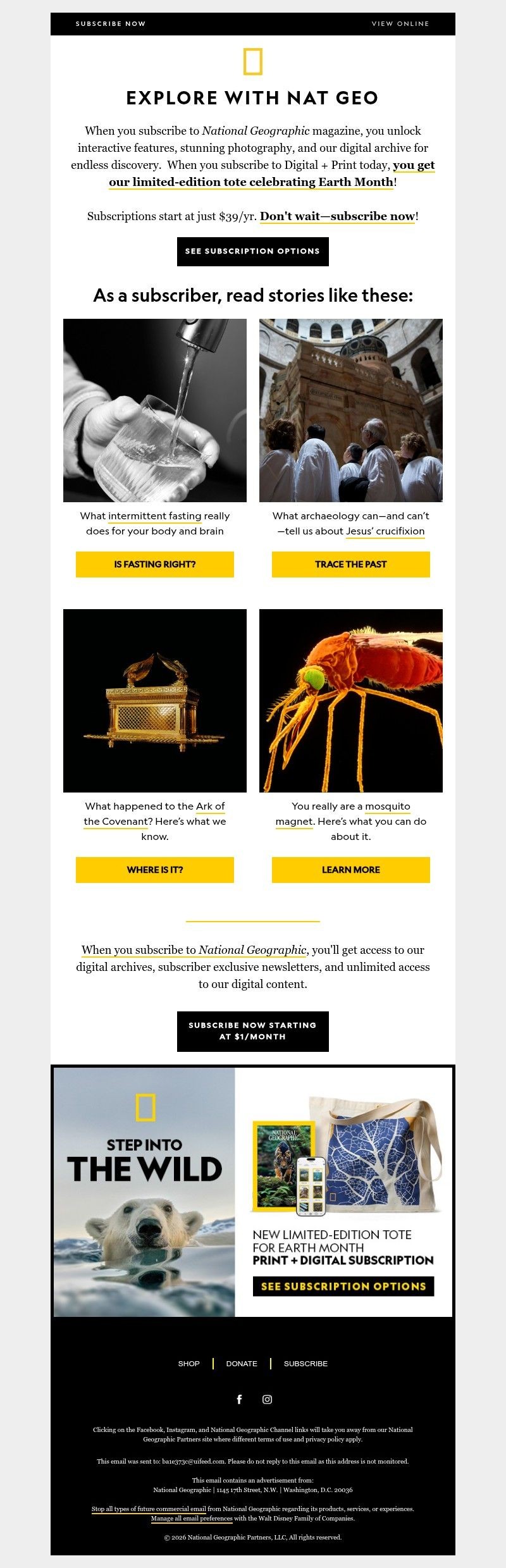 Screenshot of email with subject /media/emails/0907e553-8519-4b6d-8ecb-b1edc51e1042.jpg