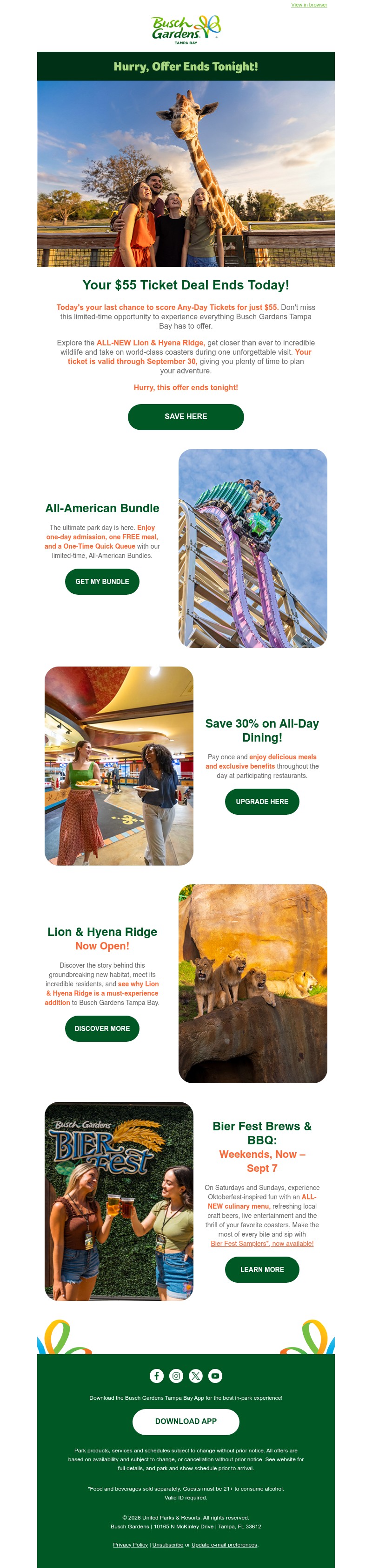 Screenshot of email with subject /media/emails/095ecd54-50cf-4602-beda-e29e25f25d54.jpg