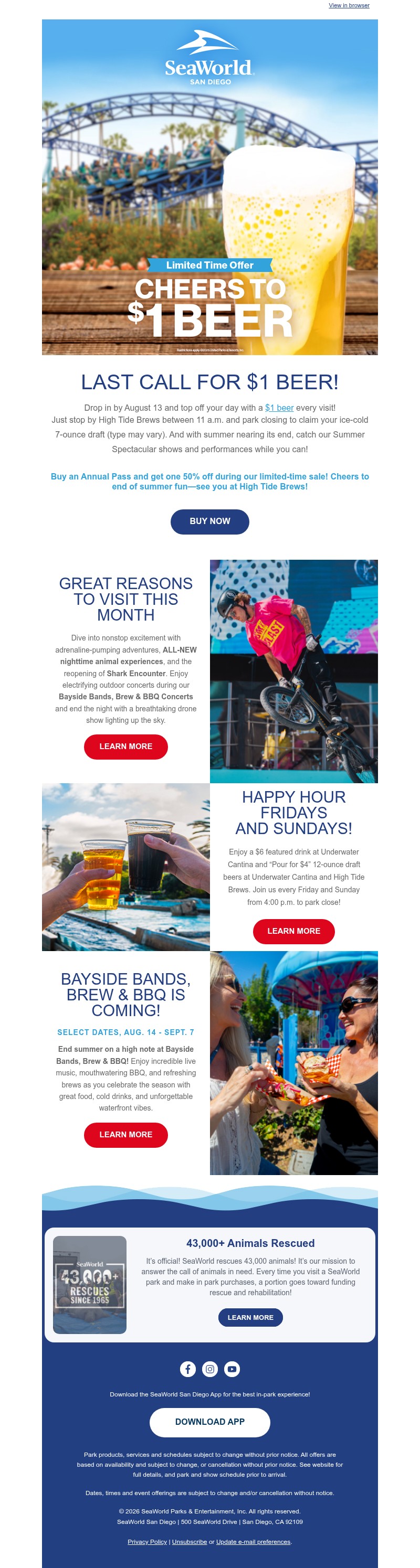 Screenshot of email with subject /media/emails/09db6cee-ad22-4bac-aa57-9249d2f5e389.jpg