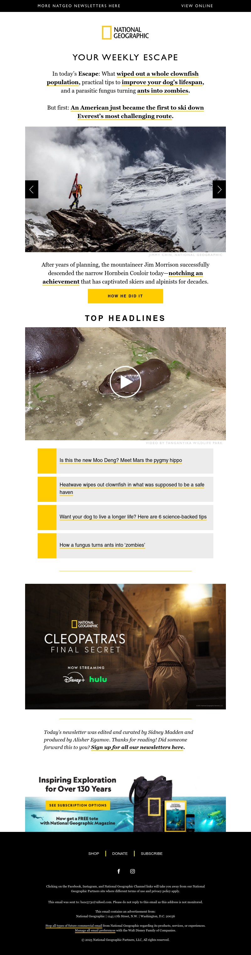 Screenshot of email with subject /media/emails/0b2d01a0-ac9c-4d73-82a6-d4a0f1147c86.jpg
