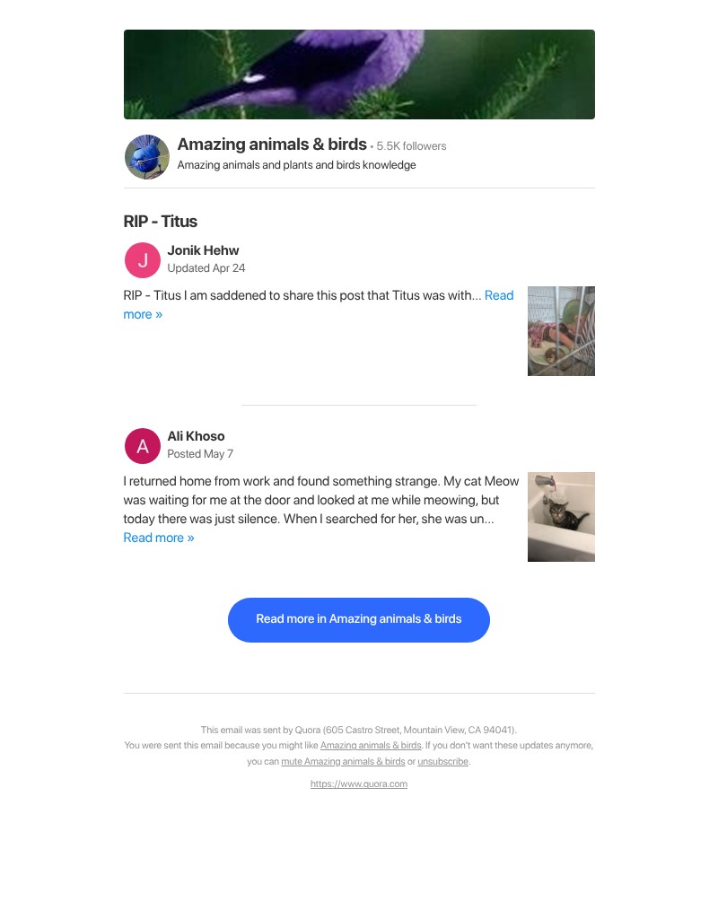 Screenshot of email with subject /media/emails/0b340d73-8749-4d9f-8b42-536b1ed5636b.jpg