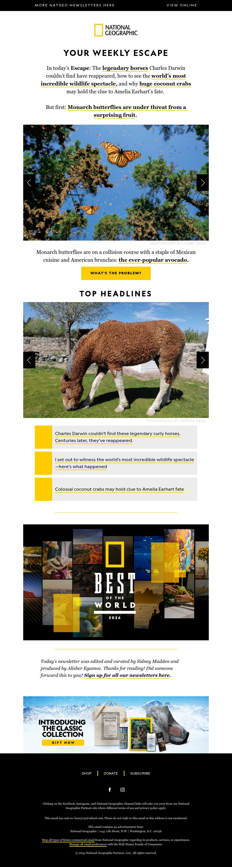 Screenshot of email with subject /media/emails/0bb616a3-c461-417d-b1fd-59922162ee48.jpg