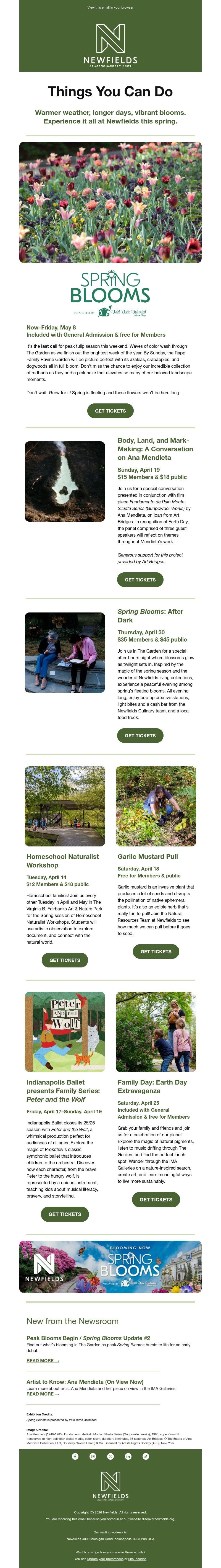 Screenshot of email with subject /media/emails/0c5064c7-69d6-4ba0-8620-f8fac910e403.jpg